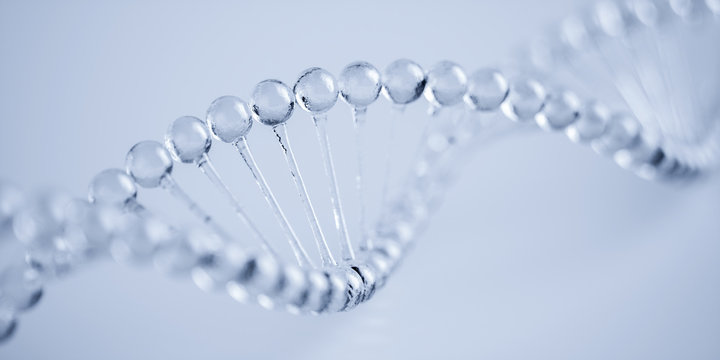 DNA water structure model with soft focus