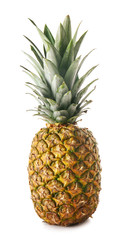 Ripe pineapple on white background