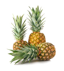 Ripe pineapples on white background