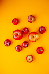 Red apples in row  circle isolated on yellow background and space for word