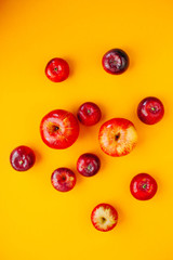 Red apples in row  circle isolated on yellow background and space for word