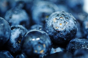 Blueberries with water droplets