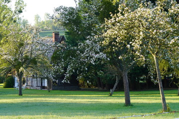 Paysage Campagne 410