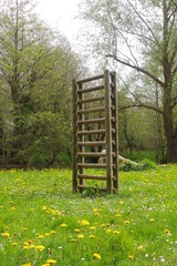 Parcours sportif nature pour la gymnastique avec agrès et échelle dans la pelouse dans la campagne