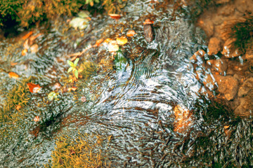 pure natural stream, water background