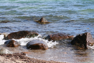 Naklejka premium see