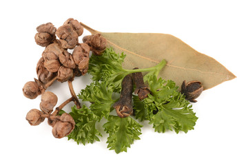herbs and spices