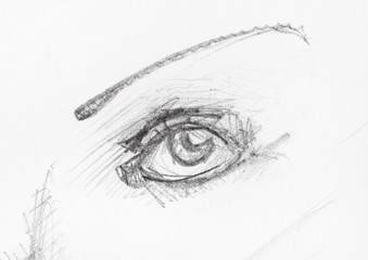 Fototapeta premium sketch of human eye and narrow eyebrow by pencil