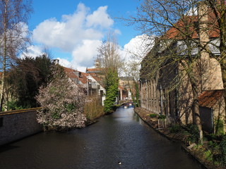 Fototapeta na wymiar Bruges' canal