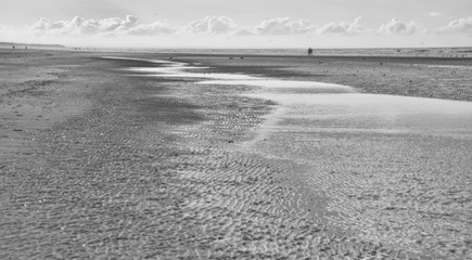 Obraz premium Bij the seashore