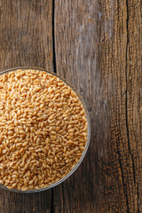 indian wheat grain ,  Wheat grain in bowl