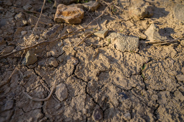 Mud (dried clay) as natural background.
