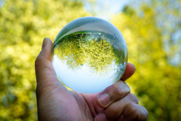 A hand holding a crystal ball for optical illusion. Known as an orbuculum, is a crystal or glass...