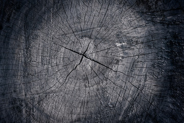  Wooden cut black texture,background close-up