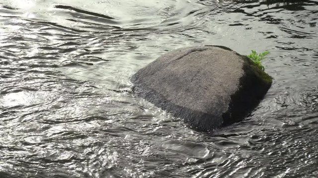 River waterfall detail. Natural scene
