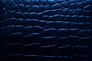 close up of reptile skin texture use for background