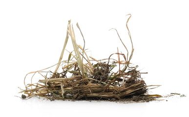 Dry withered grass, straw with dirt isolated on white background