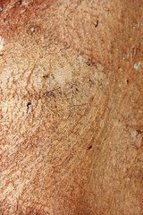 brown stone or mwith cracks and patternsarble wall a texture