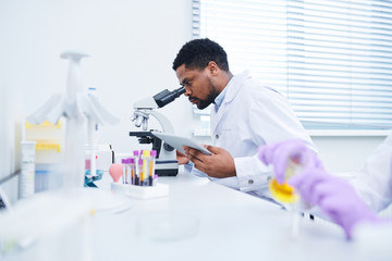 Concentrated handsome black male lab technician with beard sitting at table and using microscope while analyzing sample and working with data on tablet