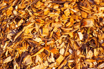 Mulch. Natural wood crumb.