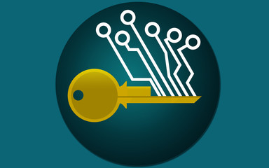Cryptocurrency key icon isolated