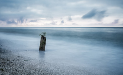 Minimalistic seascape. Old stump in the water in the early morning. Long exposure.