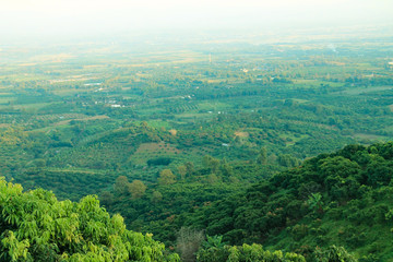 landscape of hill