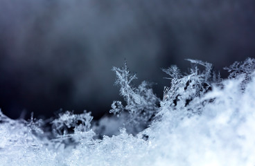 natural snowflakes on snow, winter