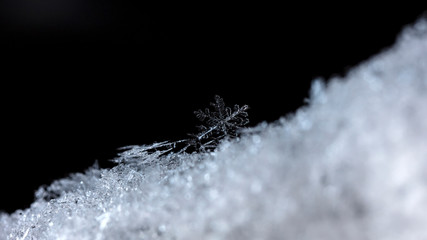 natural snowflakes on snow, winter