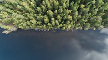 Aerial view of blue lake and green fir forests on a sunny summer day in rural Finland. Drone photography from above.