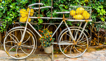 Fototapeta na wymiar bicycle with gallini melons