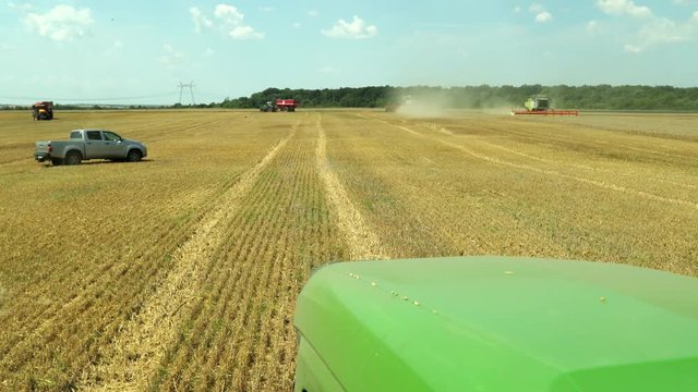 In Foreground, Part Of The Green Tractor Case That Goes To Combine To Get The Grain. But Horizons Combine Harvesting And Tractors In The Trailer Carry Grain Of Rye And Wheat. Prores, Slow Motion, 4k