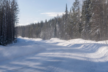 ground blizzard on the empty road passing through the snowy winter forest.