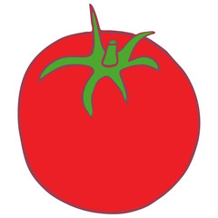 Isolated vector flat tomato