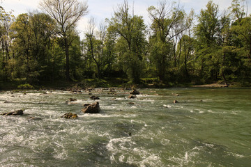 Wilde Isar bei München