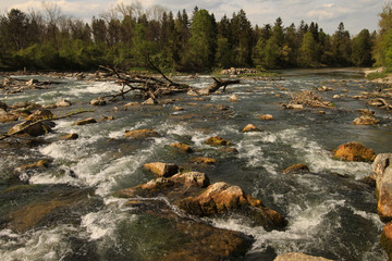 Wilde Isar, Stromschnellen bei Ismaning