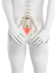 3d rendered medically accurate illustration of a painful tailbone - obrazy, fototapety, plakaty