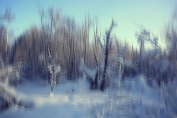 abstract forest blurred winter vertical lines / winter forest background, abstract landscape