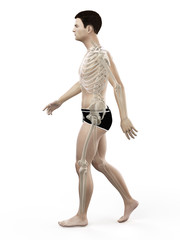 3d rendered medically accurate illustration of a painful back