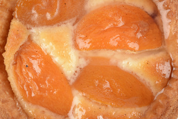 cake with apricots
