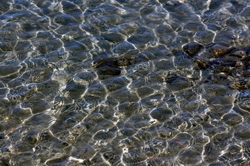Nature as a texture. Crystal clear waters of the Struga River, Macedonia.