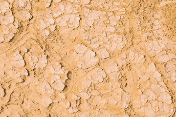 Desert landscape in morocco