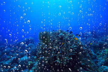 background underwater air bubbles reef / abstract sea background, diving, nature, ocean