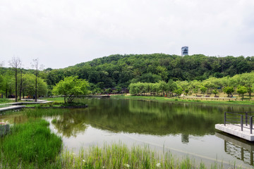 wolyeongji pond in seoul dream forest