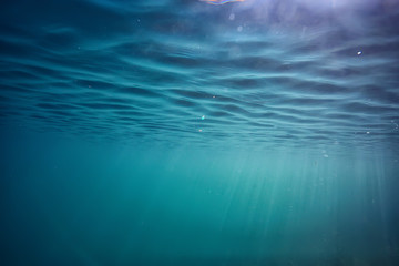 Fototapeta na wymiar lake background water underwater abstract / fresh water diving background nature underwater ecosystem background