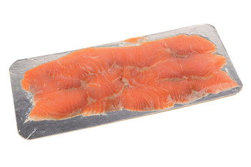 salmon