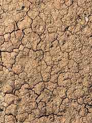Dry soil background