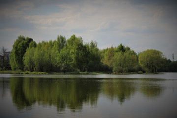 Obraz premium Blue water in a forest lake. Forest Lake