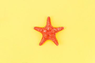 Fototapeta na wymiar Big red sea star on yellow table
