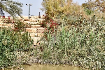 Desert Foliage on the Palestinian Side of the Jordan River